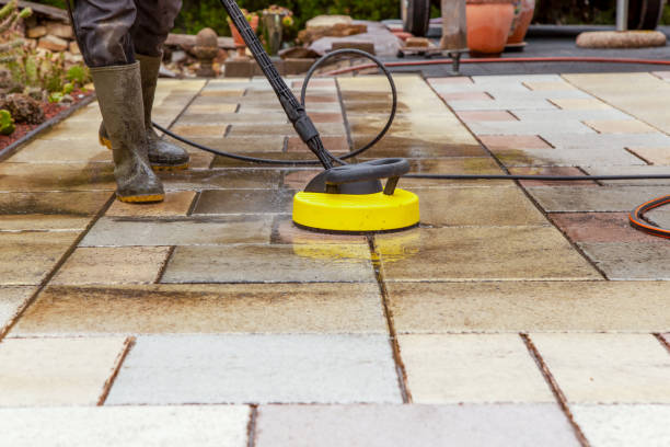 Best Gutter Cleaning  in Cleveland, TN